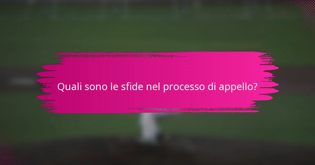 Quali sono le sfide nel processo di appello?
